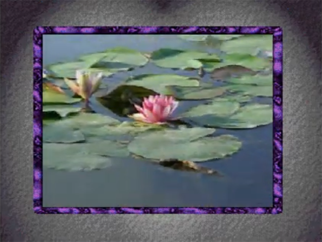 Illustration of Science is Elementary 1