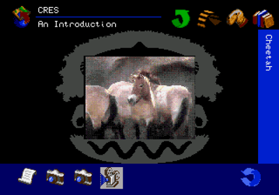 The San Diego Zoo Presents... The Animals! A True Multimedia Experience - Screenshot - Gameplay (World) - 640x448
