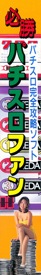 Hisshou! Pachi-Slot Fun - Box - Spine (Japan) - 331x2220