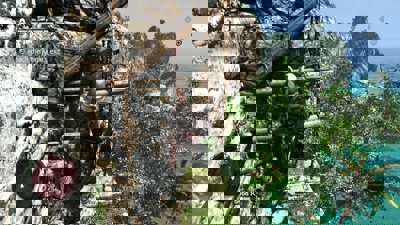 Assassin's Creed IV: Black Flag - Screenshot - Gameplay (North America) - 1920x1080