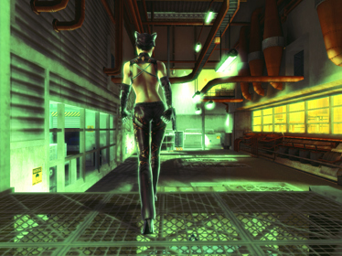 Catwoman - Screenshot - Gameplay (World) - 1280x960