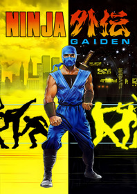 Ninja Gaiden - Fanart - Box - Front (Japan) - 1800x2550