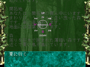 Zork I: The Great Underground Empire - Screenshot - Gameplay (Japan) - 320x240