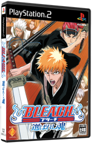 Bleach: Erabareshi Tamashii - Box - 3D (Japan) - 181x281