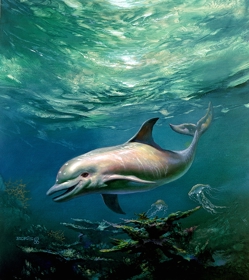 Ecco the Dolphin: Defender of the Future - Poster (United States) - 640x720
