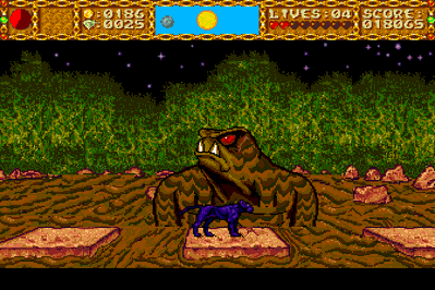 Shape Shifter - Screenshot - Gameplay (North America) - 336x224