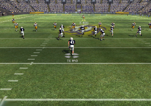 Illustration of NCAA Football 11