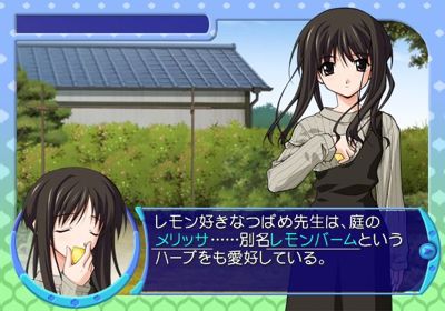 Memories Off After Rain Vol. 2: Souen - Screenshot - Gameplay (Japan) - 640x448