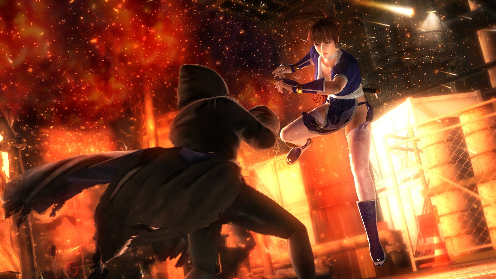 Illustration of DEAD OR ALIVE 5 Last Round: Core Fighters