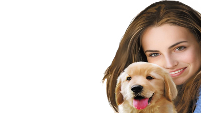 Dreamer Series: Puppy Trainer - Fanart - Background (North America) - 1920x1080