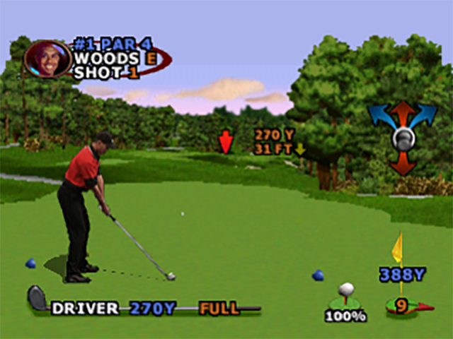 Illustration of Tiger Woods PGA Tour 2000