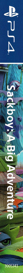 Sackboy: A Big Adventure - Box - Spine (North America) - 118x1400