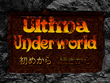 Ultima Underworld: The Stygian Abyss - Screenshot - Game Title (Japan) - 640x480