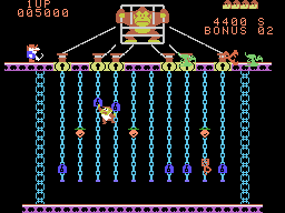 Illustration of Donkey Kong Jr.