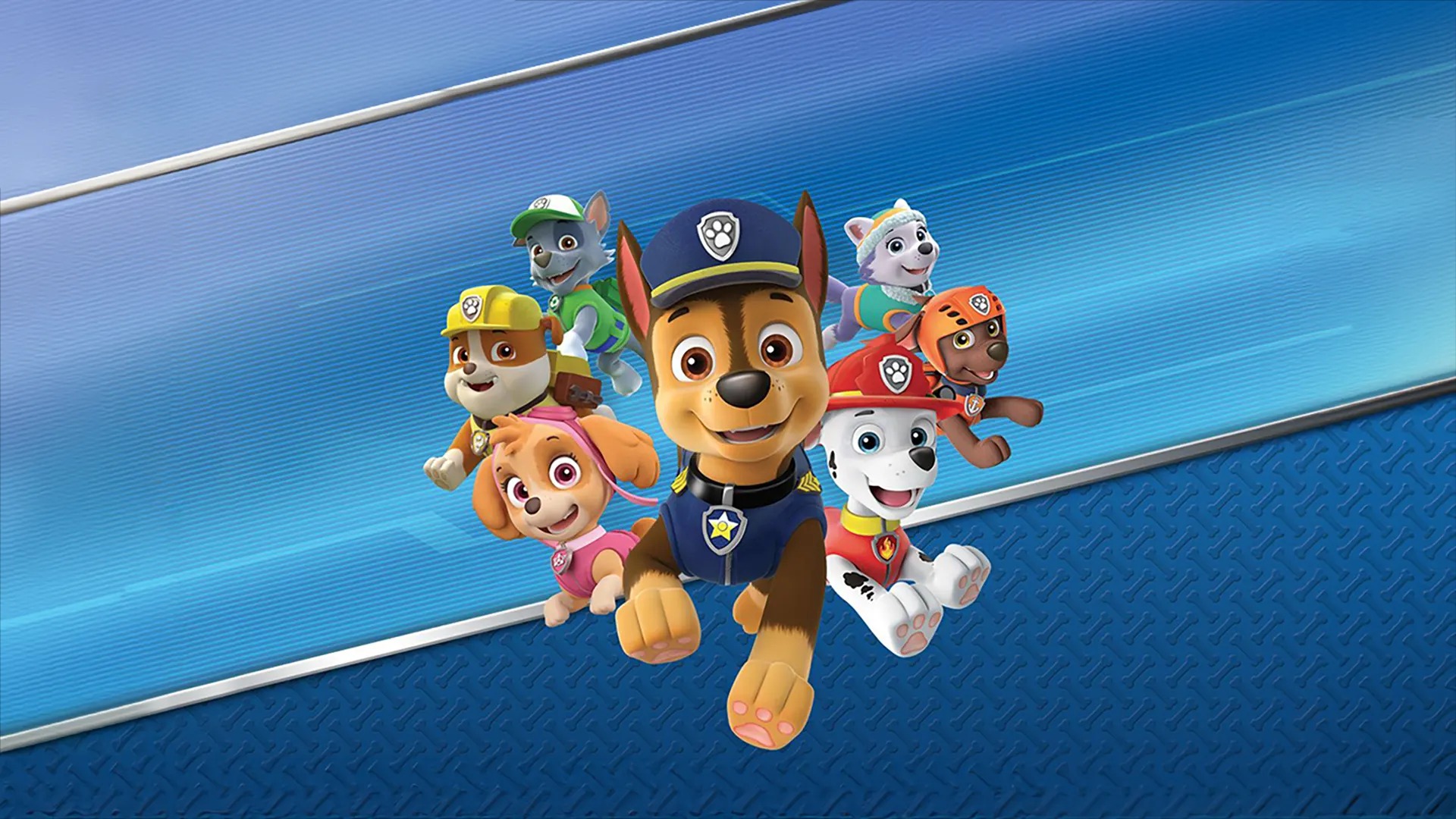 Illustration of Paw Patrol: On A Roll!