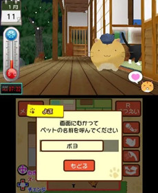 Poyo Poyo Kansatsu Nikki - Screenshot - Gameplay (Japan) - 500x610