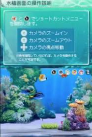 Sakana to Asobou! Aquazone DS: Kaisuigyo - Screenshot - Gameplay (Japan) - 434x650