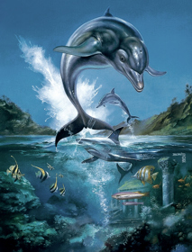 Ecco the Dolphin - Poster (United States) - 766x1008