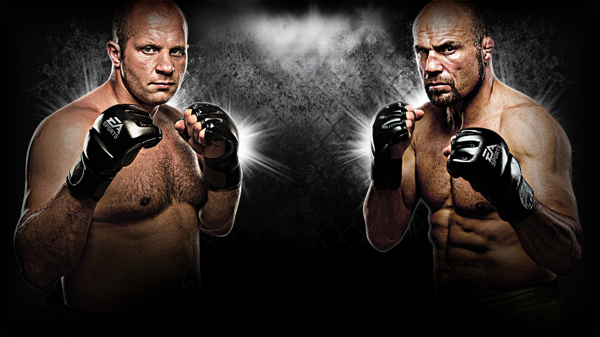 Illustration of EA Sports MMA