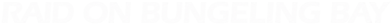 Raid on Bungeling Bay - Clear Logo (World) - 2172x139
