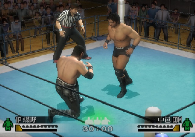 Illustration of Wrestle Kingdom 2: Pro Wrestling Sekai Taisen