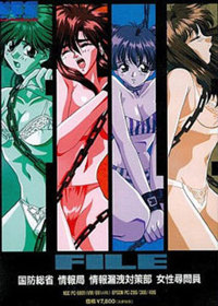 FILE: Kokubousoushou Jouhoubu Jouhourouei Taisakubu Josei Jinmonin - Box - Front (Japan) - 256x358