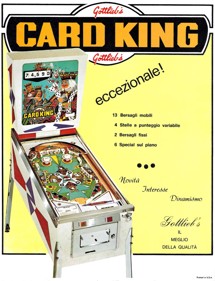Card King - Advertisement Flyer - Front (World) - 850x1109