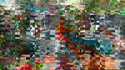 Walt Disney's The Jungle Book - Fanart - Background (World) - 1920x1080