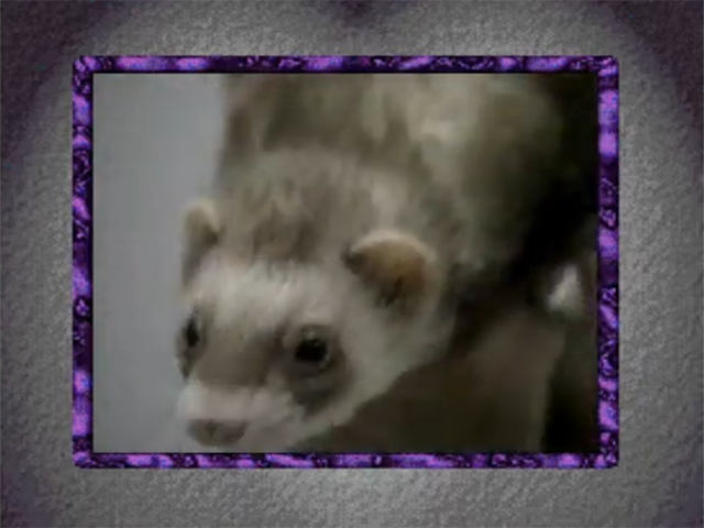 Illustration of Science is Elementary 3