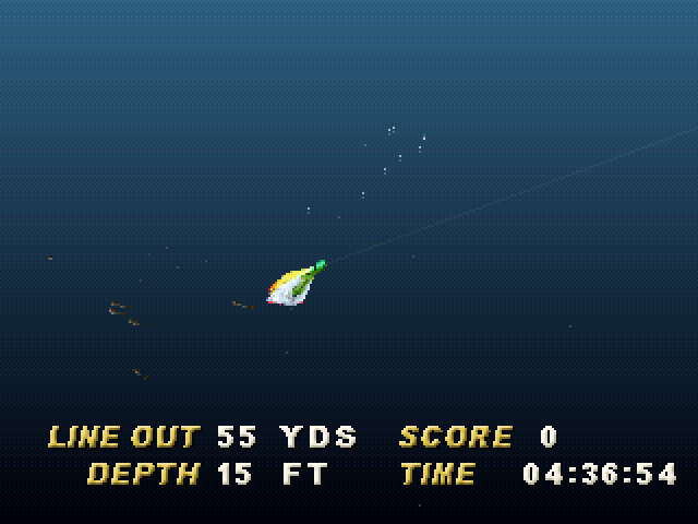 Illustration of Saltwater Sportfishing