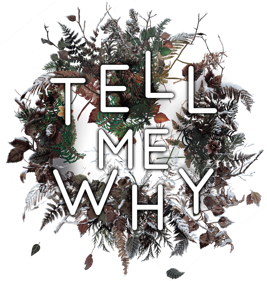 Tell Me Why - Clear Logo (North America) - 856x900