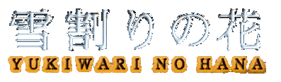Yarudora Portable: Yukiwari no Hana - Clear Logo (Japan) - 448x132