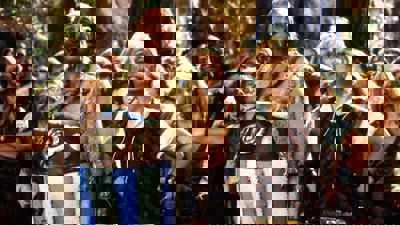 Astérix & Obélix Contre César - Fanart - Background (World) - 3111x1750