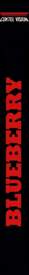 Blueberry - Box - Spine (Europe) - 160x1519