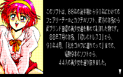 Disk Bishoujo Daizukan - Screenshot - Gameplay (Japan) - 640x400