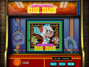 Namco All Stars: Pac-Man and Dig Dug - Screenshot - Game Title (World) - 800x600
