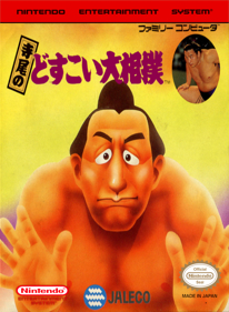 Terao no Dosukoi Oozumou - Fanart - Box - Front (World) - 821x1118