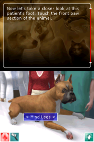 Pet Pals: Animal Doctor - Screenshot - Gameplay (World) - 256x384