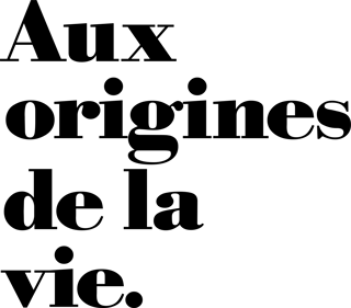 Aux origines de la vie. - Clear Logo (France) - 3387x2974