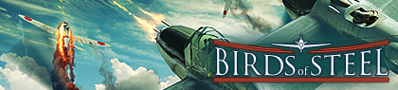 Birds of Steel - Banner (World) - 420x95