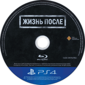 Days Gone - Disc (Russia) - 767x768