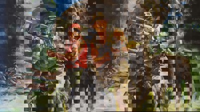 Growl - Fanart - Background (North America) - 2560x1440