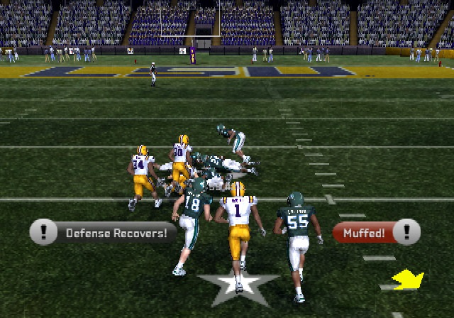 Illustration of NCAA Football 10
