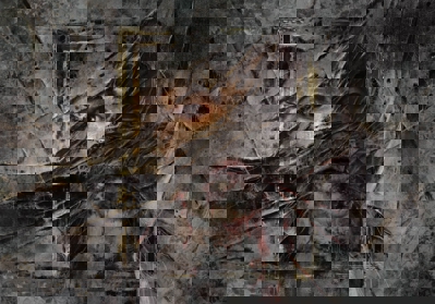 Layers of Fear: Final Masterpiece Edition - Fanart - Background (World) - 5906x4134