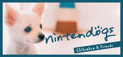 Nintendogs: Chihuahua & Friends - Banner (World) - 920x430