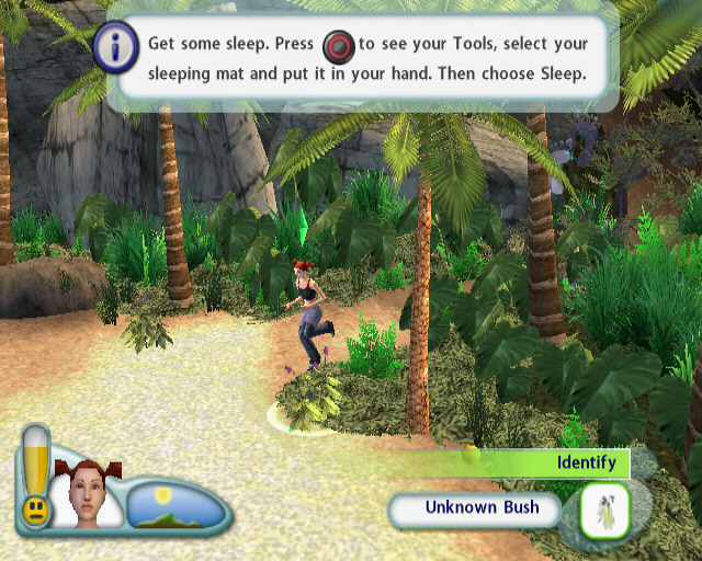 Illustration of The Sims 2: Castaway