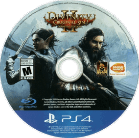 Divinity: Original Sin II: Definitive Edition - Disc (North America) - 750x742