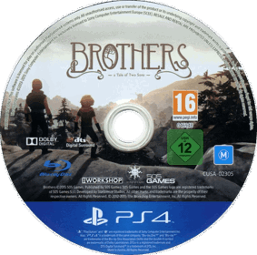Brothers: A Tale of Two Sons - Disc (World) - 765x758