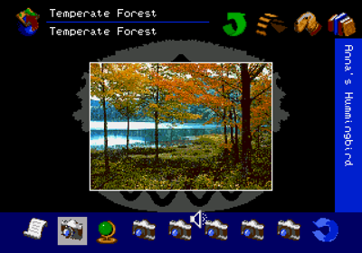 The San Diego Zoo Presents... The Animals! A True Multimedia Experience - Screenshot - Gameplay (World) - 640x448