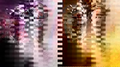 Goat Simulator: MMOre GoatZ Edition - Fanart - Background (World) - 1920x1080